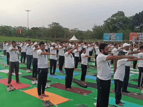 तिरंगा पार्क में योग करते हुए।