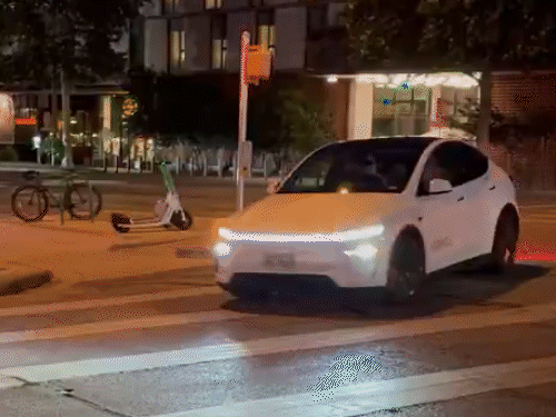 Initially, only 20 trains have been launched on the street for Robotaxi service. - Dineic sculptor
