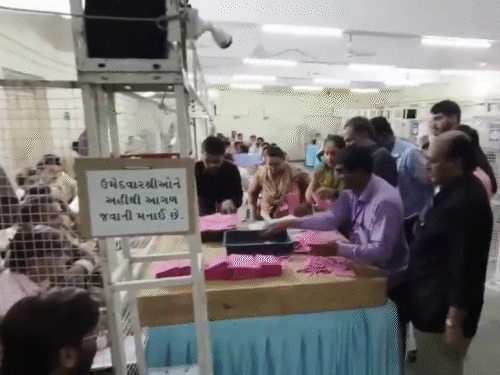 गुजरात की विसावदर और कडी सीट पर काउंटिंग जारी है। - Dainik Bhaskar