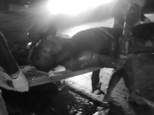 फायर ब्रिगेड ने किसी तरह आग बुझाकर दोनों युवकों को अस्पताल भिजवाया, लेकिन तब तक दोनों बुरी तरह से जल चुके थे।