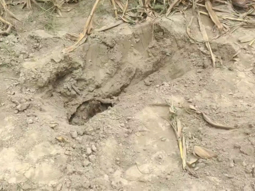 लड़की की लाश को इसी गड्ढे में छिपाया गया था।