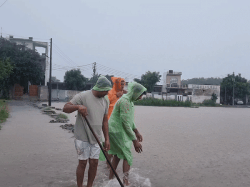 यमुनानगर के छछरौली गांव में सोम नदी का पानी गांवों में घुसा है। - Dainik Bhaskar