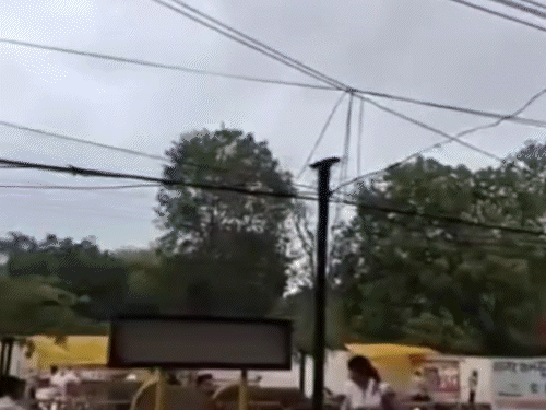 सतना में पेड़ पर आकाशीय बिजली गिरने का वीडियो मोबाइल में कैद हुआ है।