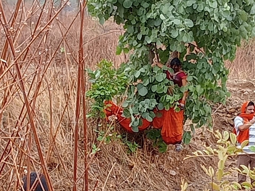 महिला का शव पेड़ से लटका मिला था।