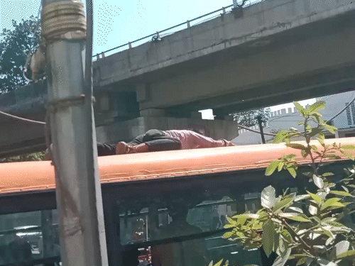 बस की छत पर युवक दिख रहा है। फ्लाई ओवर से गिरने के बाद वह बेसुध हो गया।