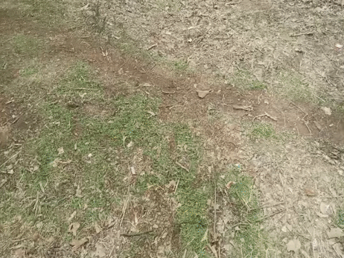 मौके पर पुलिस को नाबालिग को मारकर घसीटने के निशान मिले हैं। दोनों के बीच संघर्ष के निशान हैं।