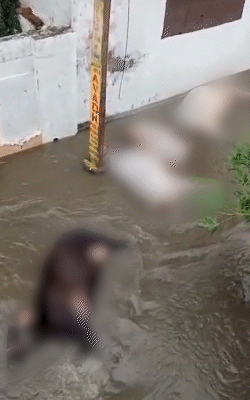 बारिश की वजह से जलभराव हो गया। बिजली के पोल का तार कटा था। इससे उसमें करंट उतर आया।