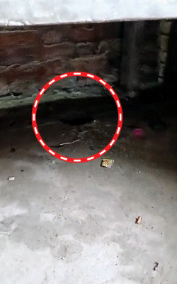 तिलकराम के घर में उसके तख्त के नीचे ही सांप का बिल है। उसी बिल से सांप ने निकलकर उसे डसा और दोबारा उसी में चला गया।