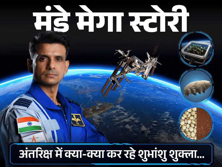 खाने से पैखाने तक का अनोखा सिस्टम; टमाटर-बैंगन और समुद्री भालू क्यों ले गए|मंडे मेगा स्टोरी,Monday Mega Story - Dainik Bhaskar