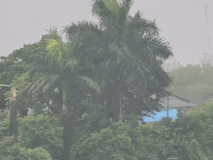 बारिश की वजह से मौसम में ठंडक आ गई है।