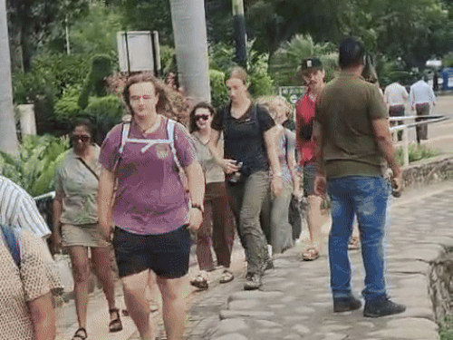 चंडीगढ़ सुखना लेक। - Dainik Bhaskar