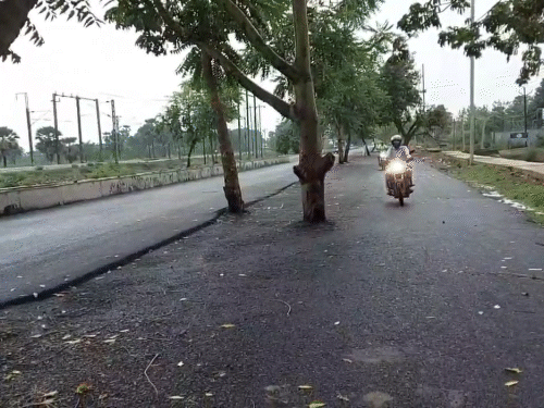 सड़क के बीच में पेड़ लगे हैं। लोग किसी तरह अपनी जान बचाकर निकल रहे हैं। स्ट्रीट लाइट नहीं होने की वजह से रात में ये सड़क और खतरनाक हो जाती है।