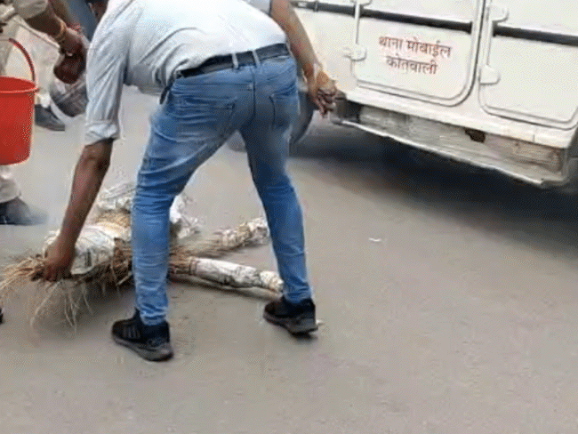 NSUI कार्यकर्ताओं से जलता हुआ पुतला छीनकर पानी डालकर बुझाते पुलिसकर्मी। - Dainik Bhaskar