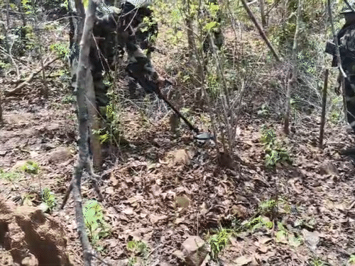 सर्च ऑपरेशन चला रहे जवानों की तस्वीर है। बस्तर के जंगल में बसवाराजू को मारने के दौरान की तस्वीर है।