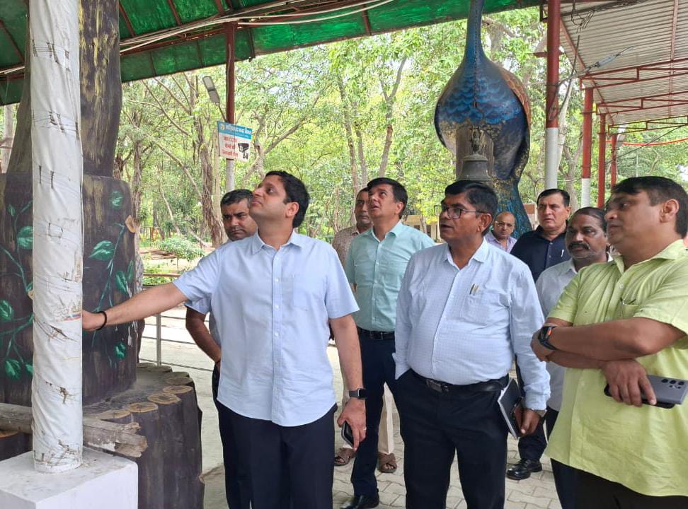 बिजली के पोल पॉलिथीन से कवर किए जा रहे हैं।