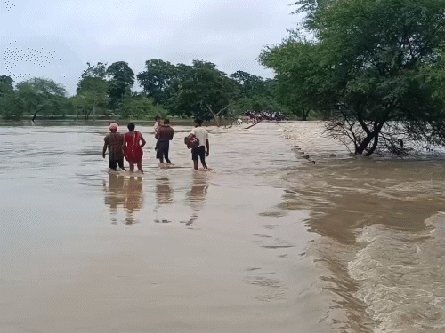 जांजगीर चांपा में बच्चों को लेकर लोग उफनती नदी को पार कर रहे हैं।