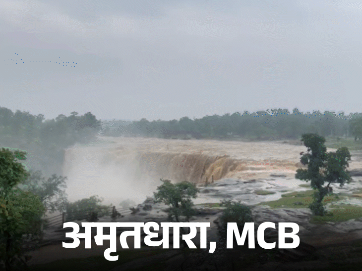 तस्वीर मनेंद्रगढ़-चिरमिरी-भरतपुर स्थित अमृतधारा वाटरफॉल की है। जहां बारिश के बाद हसदेव नदी उफान पर है।