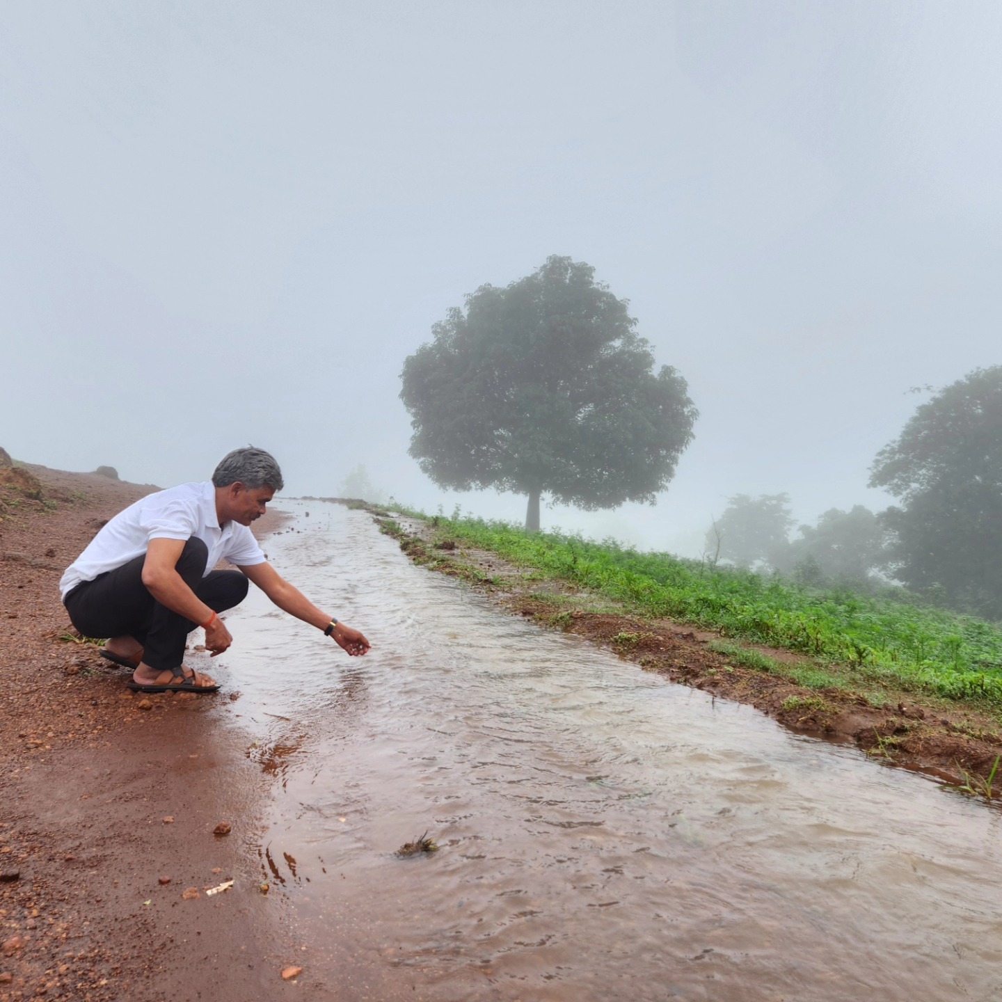 मैनपाट के प्रसिद्ध पर्यटन स्थल उल्टा पानी में यूं तस्वीर खिंचवाई साजा विधायक ईश्वर साहू ने।