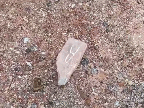 Police surrounded the encounter space with brick.