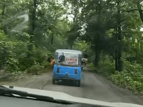 ऑटो में स्टंट दिखा रहे थे युवक।