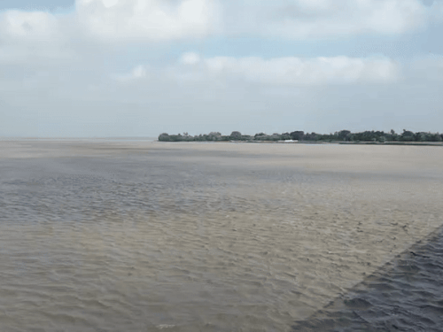 पहाड़ों पर बारिश से सरयू नदी का जलस्तर लगातार बढ़ता जा रहा है।
