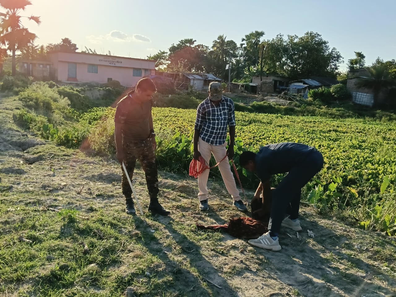 Police searching for corpses with the help of dog squad.