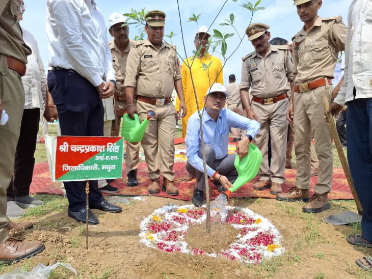 DM ने कहा हर व्यक्ति अपनी मां के नाम एक पौधा लगाए