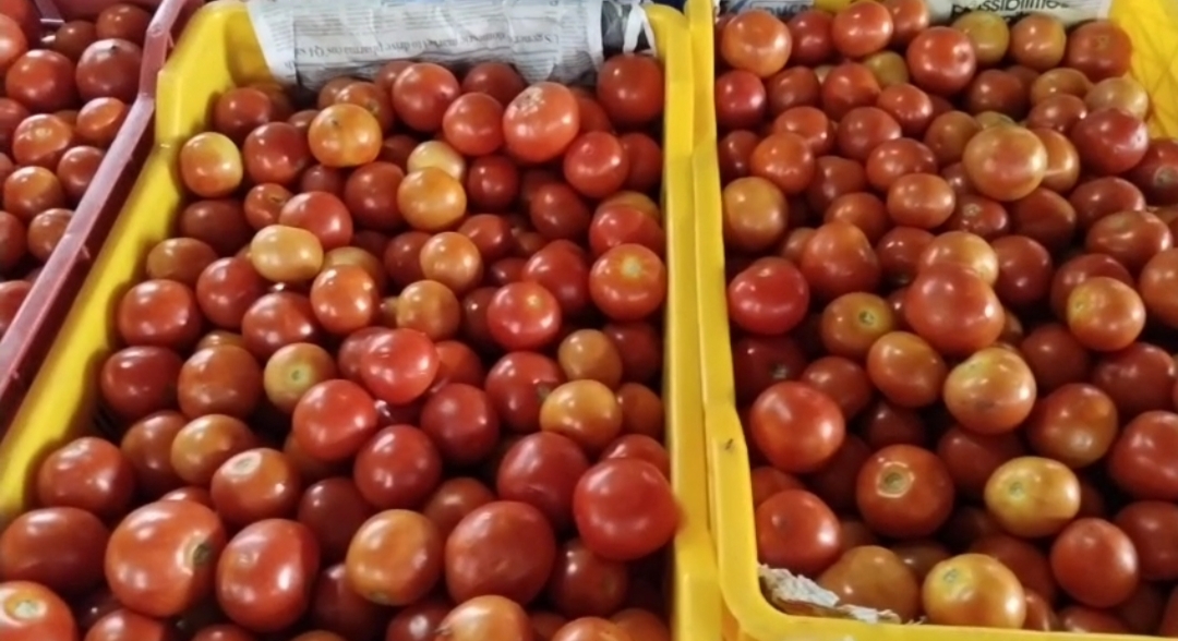 बेंगलुरु से आ रही टमाटर।