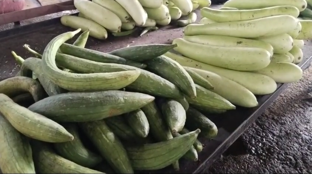 बारिश से चौपट हुई लोकल सब्जियों की फसल।
