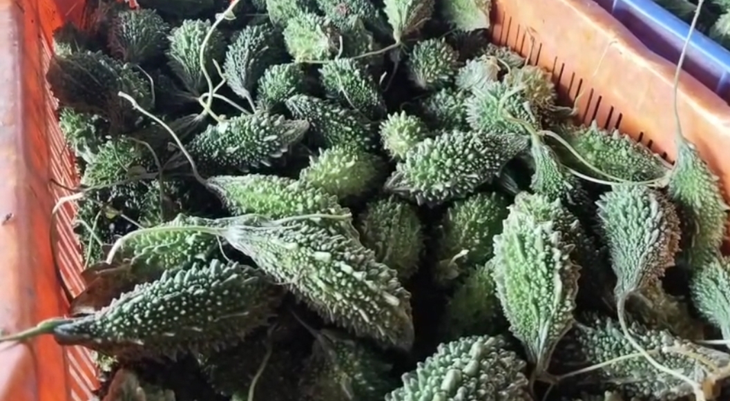 मार्केट में सभी सब्जियों के बढ़े दाम।