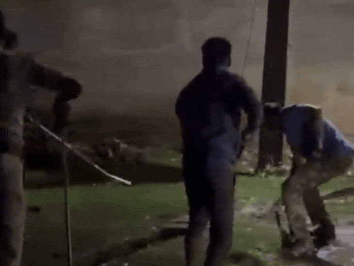 काफी मशक्कत के बाद टीम ने नाली से बाहर निकालकर पकड़ा। - Dainik Bhaskar