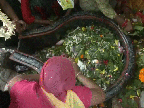 Shiva devotees arrived to visit the Jharkhandi Mahadev Shiva temple in Gorakhpur.