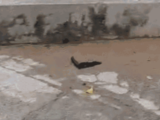 प्रिंसिपल जगबीर पानू की हत्या के बाद फेंका गया चाकू। स्कूल में तैनात पुलिस।