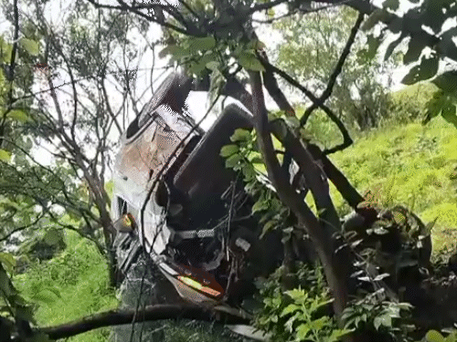 गनीमत रही की कार बीच में पेड़ों में अटक गई, जिससे युवक की जान बच पाई।
