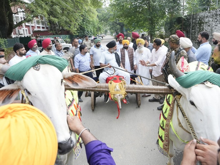 CM Bhagwant Mann with bullock cart and other leaders of the Punjab government.