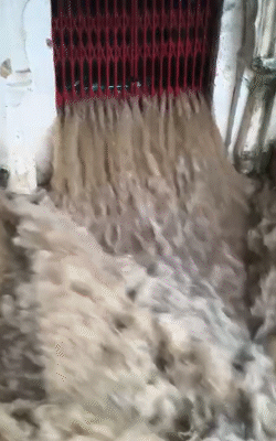 चित्रकूट में गुप्त गोदावरी गुफा बंद कर दी गई है।