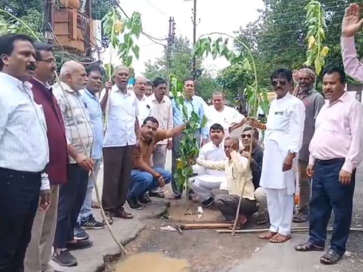 खराब सड़क पर बेशरम के पौधे लगाकर विरोध करते कांग्रेसी नेता।