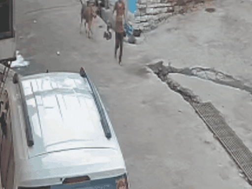 सीसीटीवी में कुत्ता बच्ची पर अचानक हमला करता दिख रहा है।