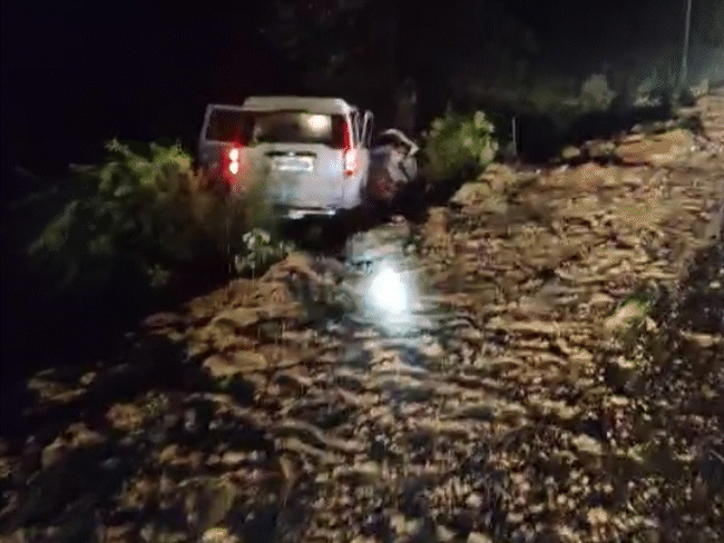 खाई में गिरते ही स्कॉर्पियो पेड़ से जाकर टकरा गई।