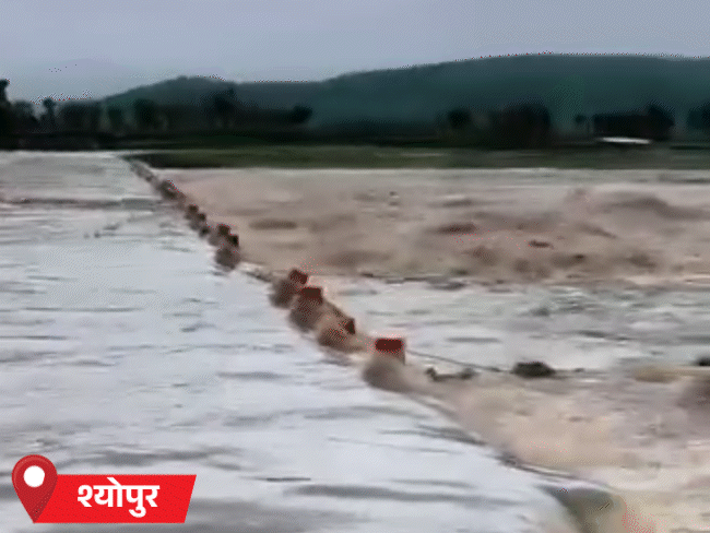 श्योपुर में तेज बारिश होने से रास्ते बंद हो गए।