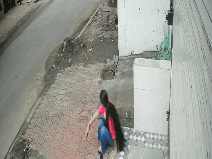 पहली बार हमला करने के बाद कुत्तों का झुंड दोबारा लौट आया।