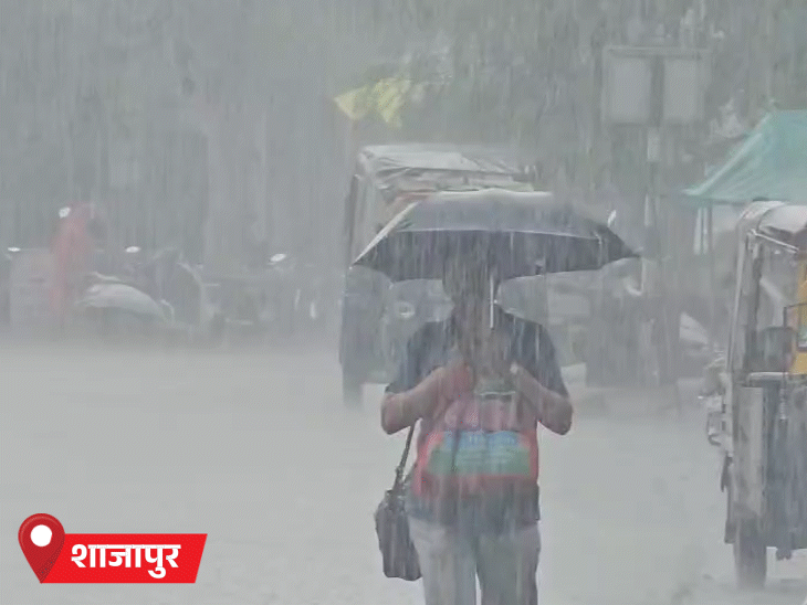 शाजापुर में मंगलवार को दोपहर बाद तेज बारिश हुई।