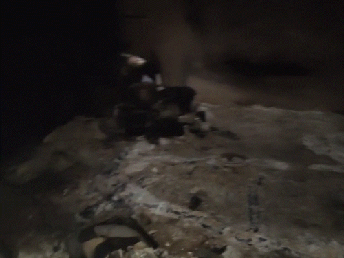 बाप-बेटा दोनों जलकर राख बन गए। पुलिस मामले की जांच में जुटी हुई है।