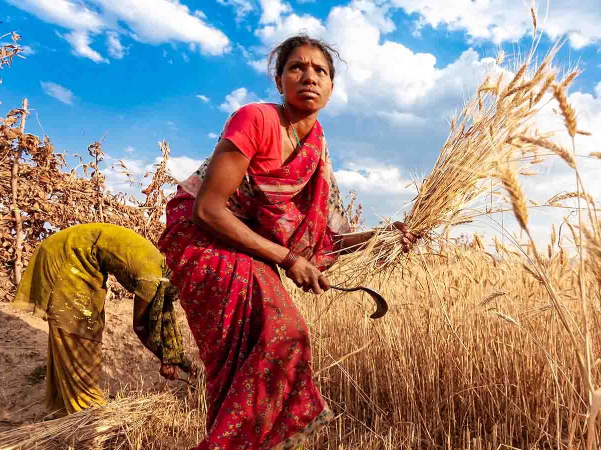1 फरवरी 2025 को बजट के दौरान वत्त मंत्री निर्मला सीतारमण ने इस योजना की घोषणा थी। - Dainik Bhaskar