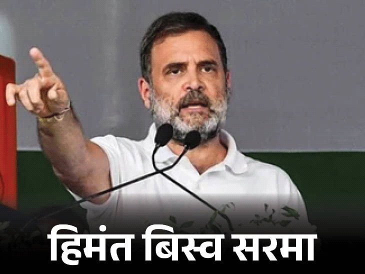 राहुल गांधी ने कहा- कांग्रेस के बब्बर शेर हिमंता सरमा को जेल पहुंचाएंगे। - Dainik Bhaskar