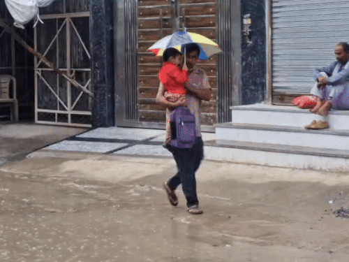 नारनौल में सुबह हल्की बारिश के बीच छाता लेकर अपने बच्चे को स्कूल छोड़ने जाता व्यक्ति। - Dainik Bhaskar