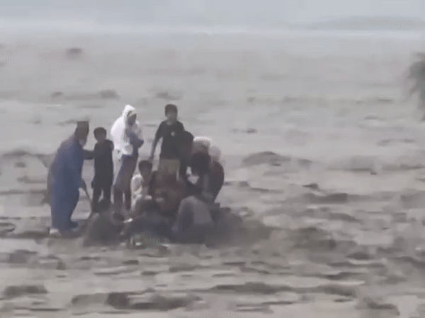 Footage of people trapped in floods in Jhelum River. - Dainik Bhaskar
