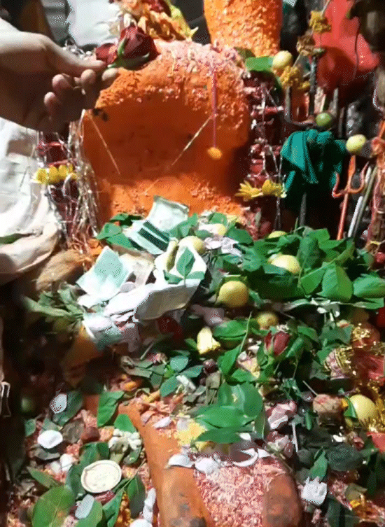 पचमढ़ी का श्री नागद्वार स्वामी मंदिर पद्मशेष।