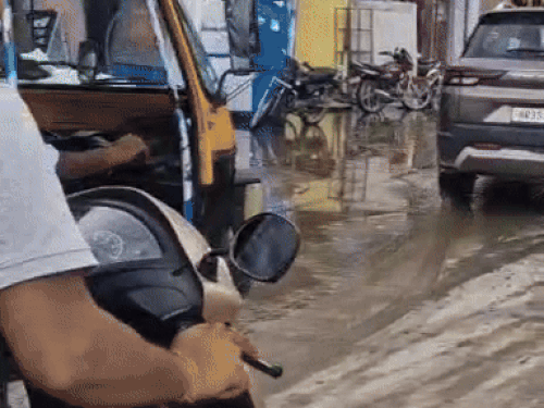 नारनौल में जैन मांगलिक भवन के पास ओवरफ्लो होकर मुख्य रोड पर भरा सीवरेज का पानी