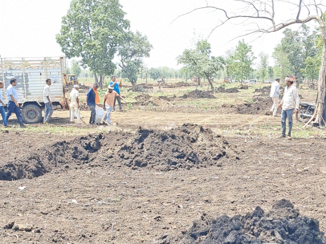 अतिक्रमण हटाने के बाद वन भूमि पर बीज लगाए गए थे, ताकि पेड़ लग सके।